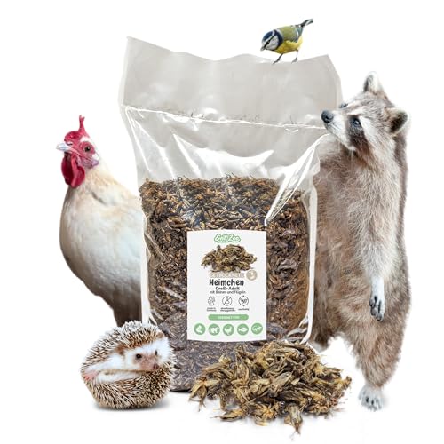 EntoZoo - getrocknete Grillen, Heimchen, Acheta Domesticus mit Beinen und Flügeln Futterinsekten, Vogelfutter, Igelfutter, Fischfutter, proteinreicher Snack für Reptilien Made in Germany (2 Kg) von EntoZoo