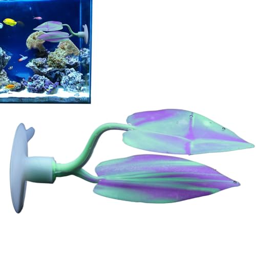 Eoixuqba Betta-Fischpflanze, Betta-Blätter,Laichplätze für Fische, Brutstätte, Ruhebett | Natürlicher Lebensraum für Fische, Betta Fish Hammock Plant Leaves Pad, Fish Rest Aquarium Plant Ornaments zum Eoixuqba Betta-Fischpflanze, Betta-Blätter,Laichplätze für Fische, Brutstätte, Ruhebett | Natürlicher Lebensraum für Fische, Betta Fish Hammock Plant Leaves Pad, Fish Rest Aquarium Plant Ornaments zum von Eoixuqba
