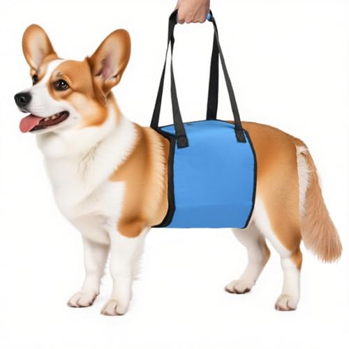 Eoixuqba Hunde-Hebegeschirr, weich gepolstertes Hundegeschirr, Mobilitätshilfe, rutschfeste Tragetasche für Spaziergänge, Wandern, Erholung, Outdoor-Abenteuer Eoixuqba Hunde-Hebegeschirr, weich gepolstertes Hundegeschirr, Mobilitätshilfe, rutschfeste Tragetasche für Spaziergänge, Wandern, Erholung, Outdoor-Abenteuer von Eoixuqba