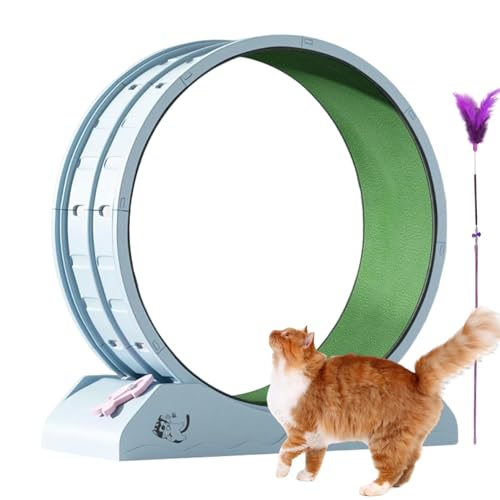 Eoixuqba Katzenrad -Übende, Laufrad für Katzen | Ruhige Trainingsausrüstung für Kätzchen | Antifalling-Laufband Lauffitness-Trainingräder mit Teaser für Innenkatzen Eoixuqba Katzenrad -Übende, Laufrad für Katzen | Ruhige Trainingsausrüstung für Kätzchen | Antifalling-Laufband Lauffitness-Trainingräder mit Teaser für Innenkatzen von Eoixuqba