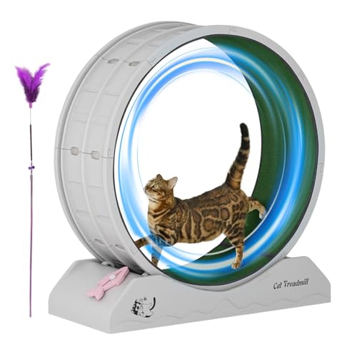 Eoixuqba Laufrad für Katzen, Katzenübungsrad - Ruhige Trainingsausrüstung für Kätzchen - Antifalling-Laufband Lauffitness-Trainingräder mit Teaser für Innenkatzen Eoixuqba Laufrad für Katzen, Katzenübungsrad - Ruhige Trainingsausrüstung für Kätzchen - Antifalling-Laufband Lauffitness-Trainingräder mit Teaser für Innenkatzen von Eoixuqba