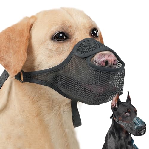 Eoixuqba Maulkorb aus atmungsaktivem Netzstoff, weich, verstellbar, 2 Stück, um Beißen und Fressen zu verhindern, Netzmaulkorb für Hunde, um Bellen zu verhindern, für Hunde mit längerer Nase, Schwarz Eoixuqba Maulkorb aus atmungsaktivem Netzstoff, weich, verstellbar, 2 Stück, um Beißen und Fressen zu verhindern, Netzmaulkorb für Hunde, um Bellen zu verhindern, für Hunde mit längerer Nase, Schwarz von Eoixuqba