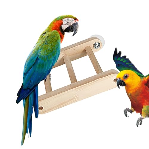 Eoixuqba Vogelkletterleiter, Vogelleiter aus, Klappbare Käfig-Kletterleiter, Vogel-lustiger Papageienbarsch, Schnabelschleifspielzeug für Sittiche, Papageien, Wellensittiche, Kolibris Eoixuqba Vogelkletterleiter, Vogelleiter aus, Klappbare Käfig-Kletterleiter, Vogel-lustiger Papageienbarsch, Schnabelschleifspielzeug für Sittiche, Papageien, Wellensittiche, Kolibris von Eoixuqba