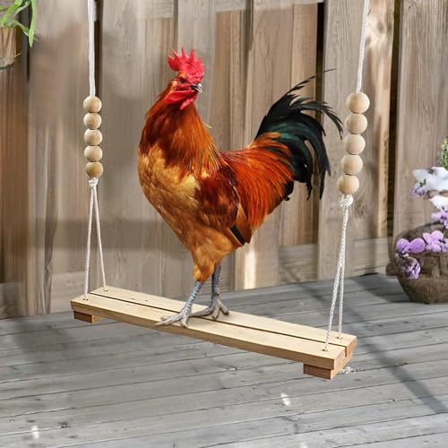 Hühnerschaukel Für Hühnerstall, 39,5x7x110cm Hühnerspielzeug Für Hennen Und Hähne, Natürliche Holzschaukel Für Hühnerstall, Als Geschenk Für Hühnerbesitzer Und Hühnerliebhaber Hühnerschaukel Für Hühnerstall, 39,5x7x110cm Hühnerspielzeug Für Hennen Und Hähne, Natürliche Holzschaukel Für Hühnerstall, Als Geschenk Für Hühnerbesitzer Und Hühnerliebhaber von Eoixuqba