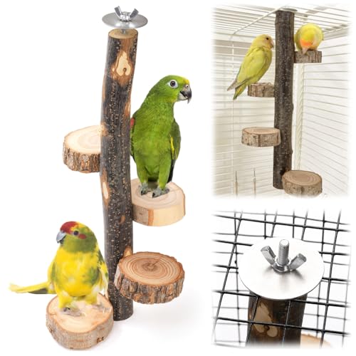 Eorbow Vogelsitzstange aus Naturholz, 30,5 cm, Papageienständer für Käfig, kleine Tiere, hängende Sitzstange und Plattformen für Sittiche, Papageien, Nymphensittiche, Sittiche, Sittiche Eorbow Vogelsitzstange aus Naturholz, 30,5 cm, Papageienständer für Käfig, kleine Tiere, hängende Sitzstange und Plattformen für Sittiche, Papageien, Nymphensittiche, Sittiche, Sittiche von Eorbow