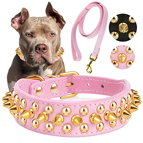 Epesiri Goldenes Spike Halsband für Hunde, Goldkette Hundehalsband, Spiked Hundehalsband, strapazierfähiges PU-Leder Nieten-Hundehalsband mit Leine, lustige Pilze, verstellbares Halsband, Rosa M von Epesiri