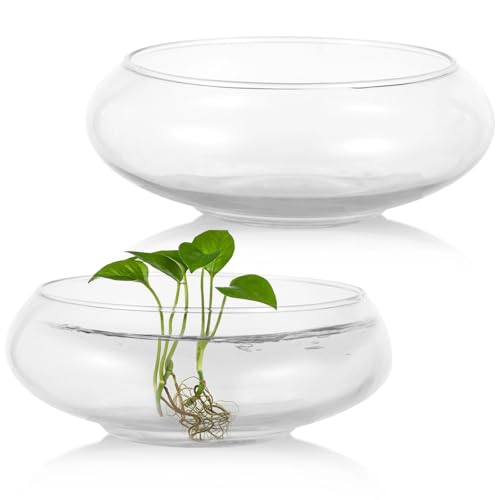 Runde Glasvasenschüssel, 15,2 cm / 20,3 cm breite Öffnung, runde Glasschalen, Sukkulenten-Pflanzgefäße, Aquarium, Blasenvasen, Blumendekor, Tafelaufsätze, Glas-Blumentöpfe für Heimdekoration, 2 Stück Runde Glasvasenschüssel, 15,2 cm / 20,3 cm breite Öffnung, runde Glasschalen, Sukkulenten-Pflanzgefäße, Aquarium, Blasenvasen, Blumendekor, Tafelaufsätze, Glas-Blumentöpfe für Heimdekoration, 2 Stück von Epicover