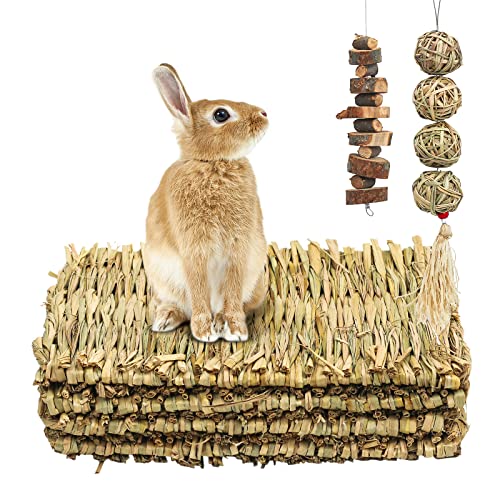 4 Stück Kaninchen-Kratzmatte, gewebte Grasmatte mit verschiedenen Hamster-Bereicherung, Kaninchenzähne, Schleifspielzeug, Backenzahn, Rennmäuse, syrischer Hamster, Meerschweinchen (Matte + Spieß) von Episkey