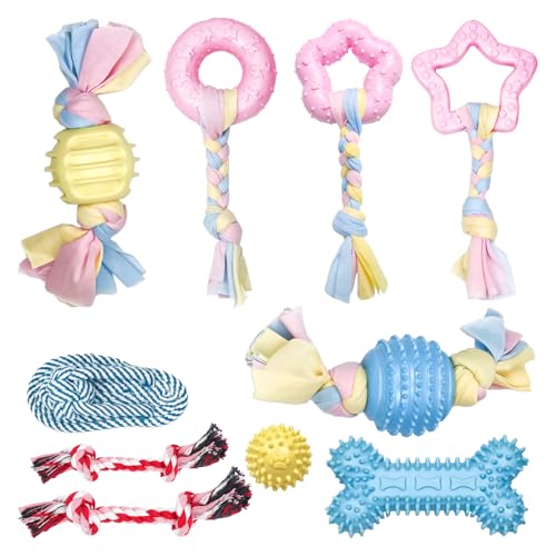 Episkey 10 Stück Kauspielzeug für Hunde, Kauspielzeug für Hunde, Kauspielzeug aus Seil, zum Reinigen der Zähne für Welpen kleiner und mittlerer Hunde (H01) von Episkey