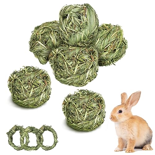 Episkey H01 Kaninchenkau-Grasbälle, Hasen-Kauspielzeug, natürlicher Timothy-Grasring, Zahnschleifen-Aktivität, Spielen für Kaninchen, Hamster, Chinchillas, Rennmäuse, Meerschweinchen Episkey H01 Kaninchenkau-Grasbälle, Hasen-Kauspielzeug, natürlicher Timothy-Grasring, Zahnschleifen-Aktivität, Spielen für Kaninchen, Hamster, Chinchillas, Rennmäuse, Meerschweinchen von Episkey