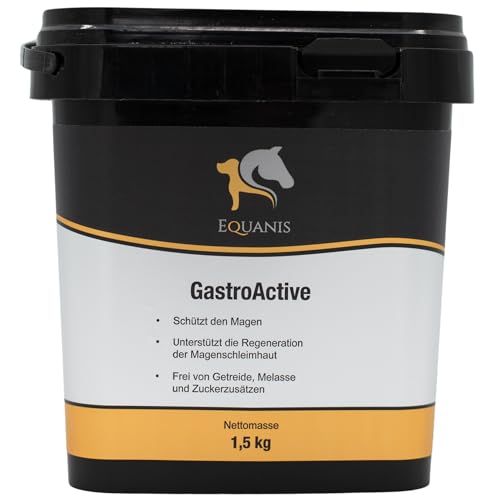 GastroActive von Equanis