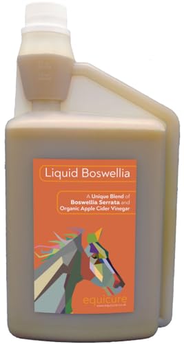 Equicure Liquid Boswellia 1 Liter – natürliche entzündungshemmende und Schmerzlinderung für Pferd/Pony von Equicure