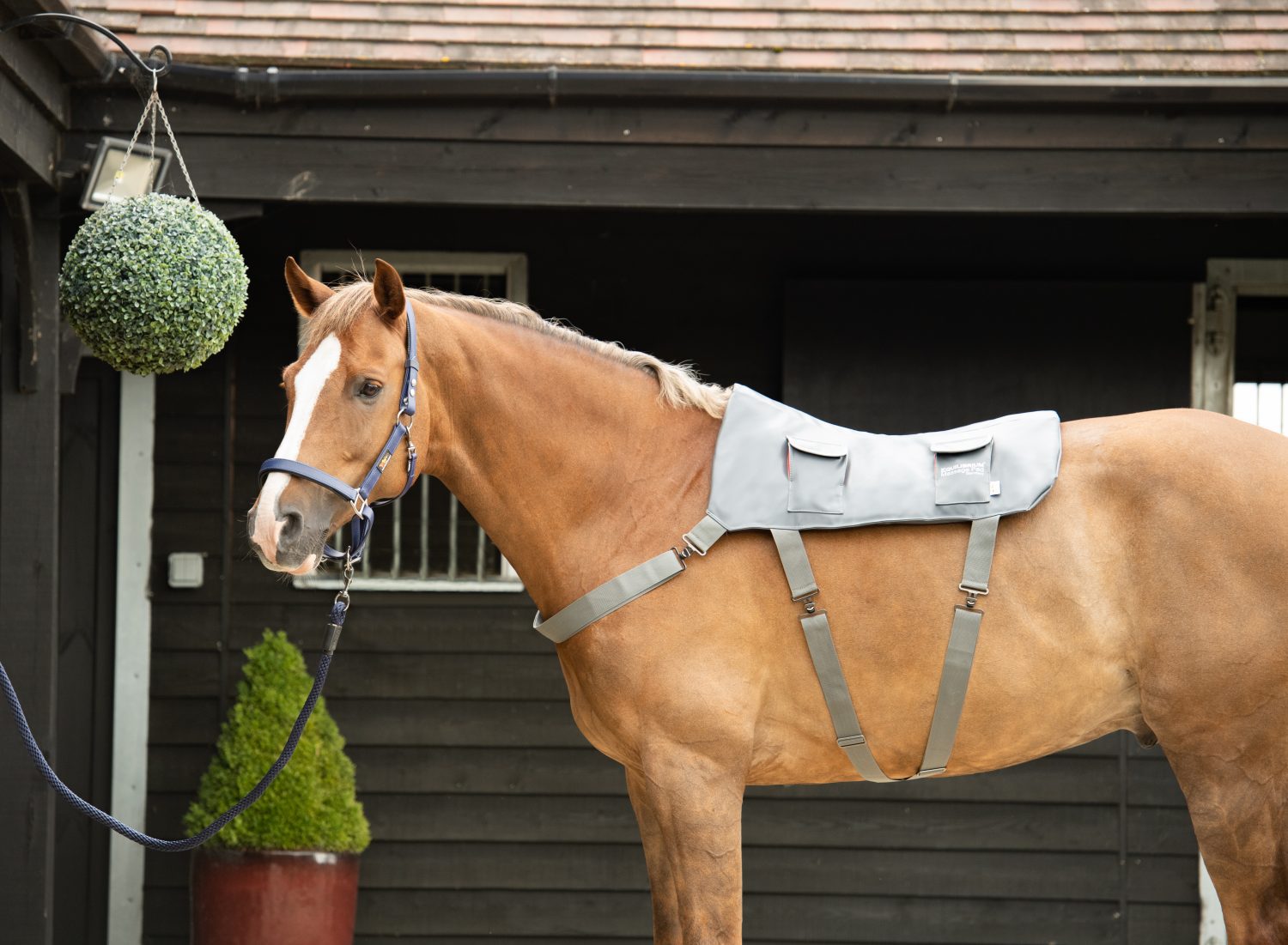 Equilibrium Massagepad Vb Deckengröße: 125cm - 135cm von Equilibrium