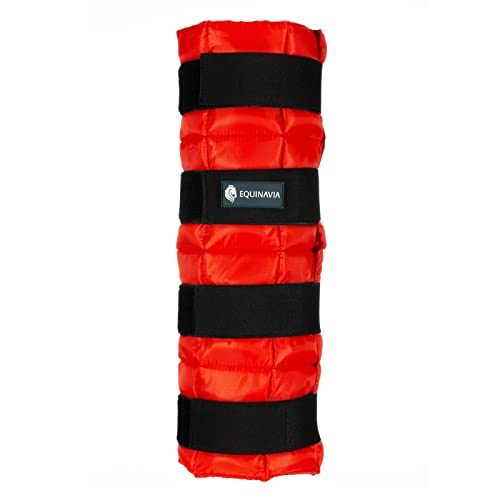 Equinavia Cool Relief Therapie-Eisbeinbandagen für Pferde, Gel-Pack mit verstellbaren Trägern, 41,9 x 39,4 cm, Einzelbett, Rot, Einheitsgröße Equinavia Cool Relief Therapie-Eisbeinbandagen für Pferde, Gel-Pack mit verstellbaren Trägern, 41,9 x 39,4 cm, Einzelbett, Rot, Einheitsgröße von Equinavia