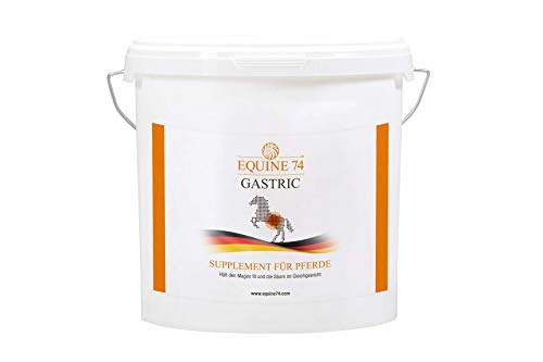 Equine 74 Gastric - Supplement für Pferde, Ponys mit Magenschleimhautreizung, Kolik oder Magengeschwür, puffert Magensäure (Pulver, 6kg) von Equine 74