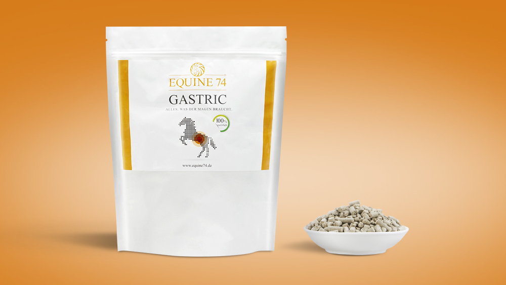 Equine 74 Pellets 2kg (Nachfüllpack) Natürlicher Magensäurepuffer von Equine 74