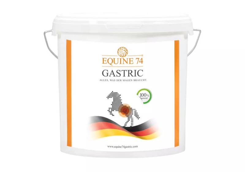 Equine 74 Pellets 6kg (4 Monate Ration) Natürlicher Magensäurepuffer von Equine 74