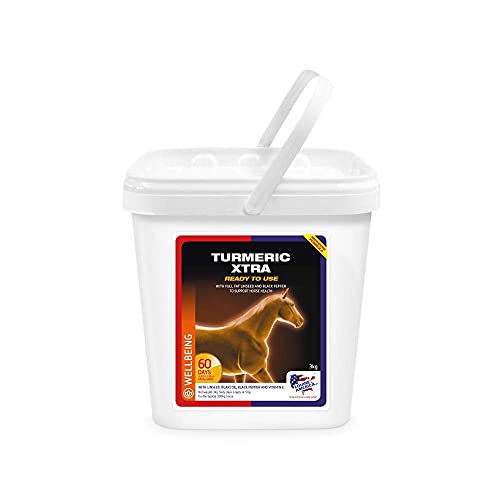 Equine America Turmarker Xtra | Premium bereit für die Nutzung von Horse & Pony Supplement | Unterstützung für Gelenke & Mobilität | 3 kg von Equine America UK