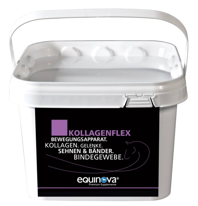 Equinova Kollagenflex 2 kg Eimer Für den Bewegungsapparat Equinova Kollagenflex 2 kg Eimer Für den Bewegungsapparat von Equinova