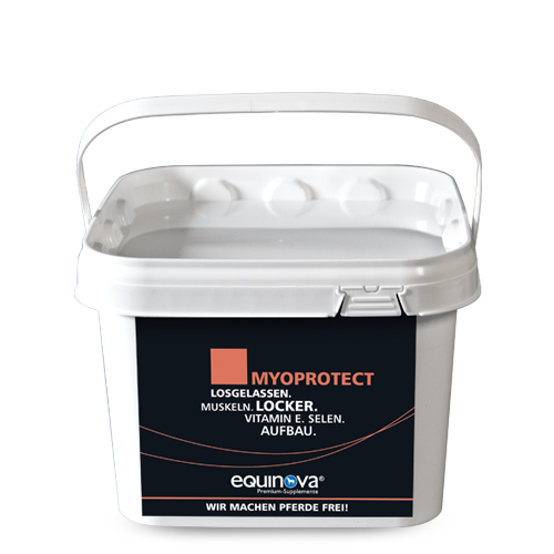Equinova Myoprotect Powder 1,5kg für lockere Muskeln Equinova Myoprotect Powder 1,5kg für lockere Muskeln von Equinova