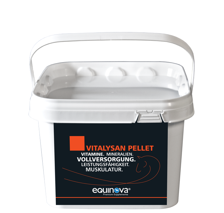 Equinova Vitalysan Pellet 3kg vollversorgt mit Nährstoffen Equinova Vitalysan Pellet 3kg vollversorgt mit Nährstoffen von Equinova