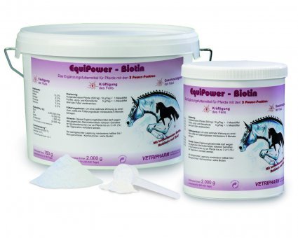 EquiPower Biotin 2 kg EquiPower Biotin 2 kg von Equipower