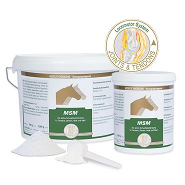 Equipower MSM - Ergänzungsfuttermittel für Pferde bei Gelenkproblemen 2 kg von Equipower