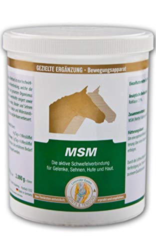 Vetripharm MSM 800 g Dose von Equipower