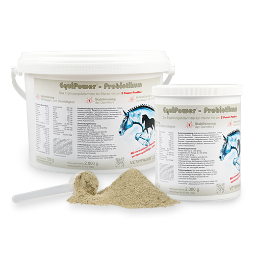 Equipower - Probiotikum 2 kg für die Darmgesundheit von Equipower
