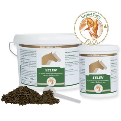 Vetripharm Equipower Selen 800g von Equipower