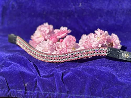 Equipride 5-reihiges Stirnband, gebogene Form, Kristall, Pink (voll, schwarzes Leder) von Equipride