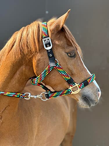 Equipride Geflochtenes Halfter Führstrick Set Größe Full-Shetland (Cob, Mehrfarbig) von Equipride