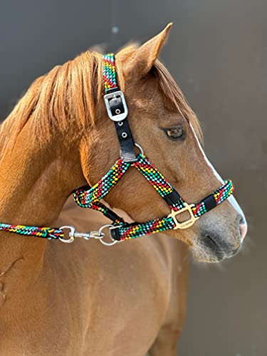 Equipride Geflochtenes Pferdehalfter Halsring Führstrick Set Größe Full-Shetland (Voll, Mehrfarbig) von Equipride