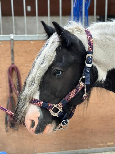 Equipride Geflochtenes Halfter Führstrick Set Größe Full-Shetland Flame (Cob) von Equipride