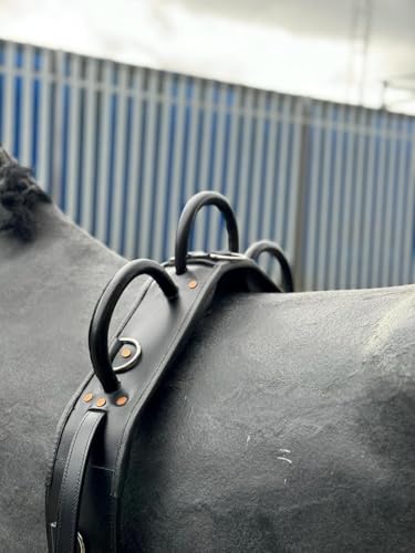 Equipride Leder Voltigiergurt mit Gurt, voll verstellbar, Schwarz (Pony) von Equipride