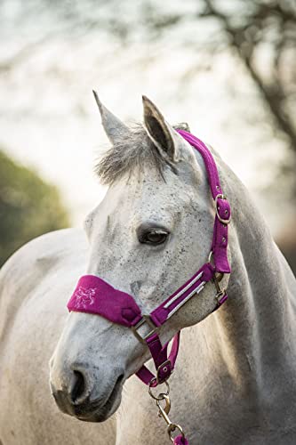 Equipride Luxuriöses Fleece-Einhorn-Halfter-Set, Full-Mini-Sheland (Cob, Fuchsia) von Equipride