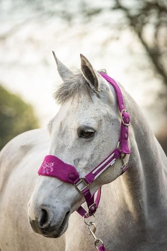 Equipride Luxuriöses Fleece-Einhorn-Halfter-Set, Leinenseil, Full-Mini-Sheland (Full, Fuchsia) von Equipride