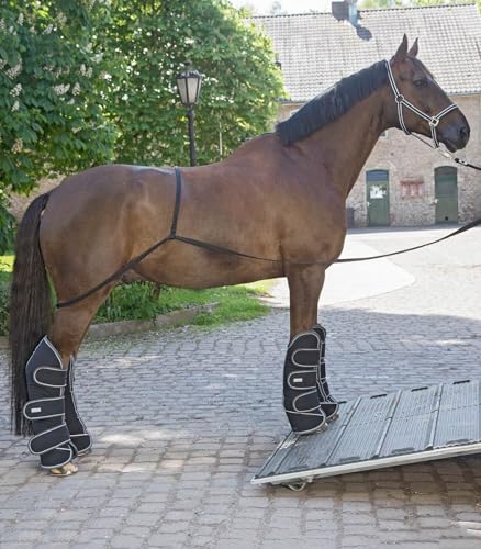 Equipride Pferd Versandhilfe Transporthilfe ideal zum Verladen von Schiffspferd im Anhänger Equipride Pferd Versandhilfe Transporthilfe ideal zum Verladen von Schiffspferd im Anhänger von Equipride