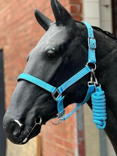 Equipride Reflektierendes Halfter und Führstrick-Set, Neopren, gepolstert, Full-Shetland, Babyblau (Pony) von Equipride
