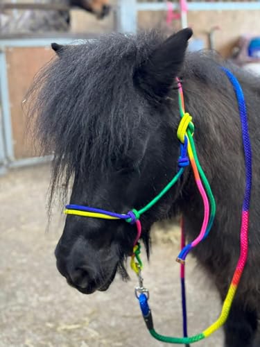 Equipride Seilhalfter mit Führstrick Regenbogenfarben Größe Full-Shetland (Cob) von Equipride