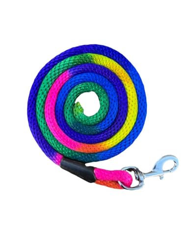 Pferdeleine für Halfter, schwerer Schnappverschluss, Regenbogenfarben, rostfrei, 2 Meter von Equipride