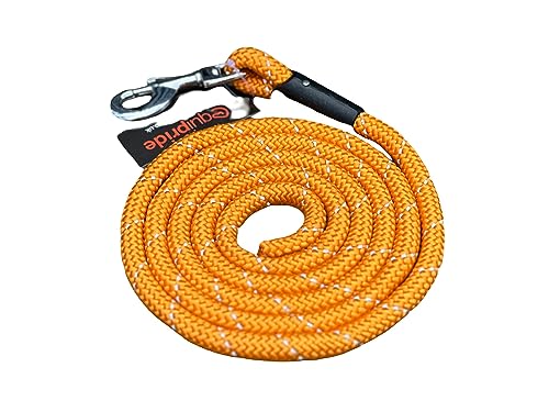 Pferdeführstrick für Halfter, reflektierend, Länge 2 Meter, 7 erstaunliche Farben (Orange) von Equipride