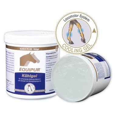 Equipur Kühlgel von Vetripharm | 500 g | Pflegeprodukt für Pferde | Kann dabei helfen den Bewegungsapparat erfrischend zu kühlen und zu entspannen | Enthält Pfefferminzöl von Equipur