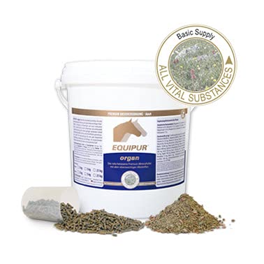 Equipur Organ von Vetripharm | 3 kg | Ergänzungsfuttermittel für Pferde | Basisversorgung die dazu beitragen kann die Vitalität und Leistungsbereitschaft des Pferdes zu fördern Equipur Organ von Vetripharm | 3 kg | Ergänzungsfuttermittel für Pferde | Basisversorgung die dazu beitragen kann die Vitalität und Leistungsbereitschaft des Pferdes zu fördern von Equipur