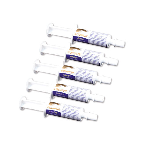 Equipur Vitalyt Paste - 5 x 60 g von EquipurVetripharm