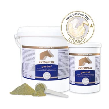 Equipur Vetripharm gastral für Pferde 1 kg von Equipur