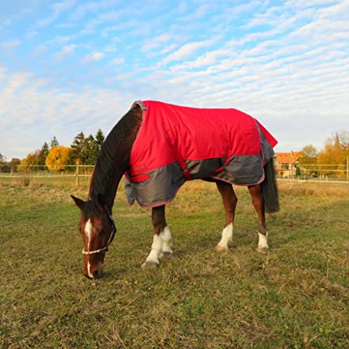 Equi-Theme EQUITHEME Decke Tyrex New 1200D ? 50 g ? Farben ? Marineblau/Bordeaux, Größe der Decke ? 6.6 Equi-Theme EQUITHEME Decke Tyrex New 1200D ? 50 g ? Farben ? Marineblau/Bordeaux, Größe der Decke ? 6.6 von Equitheme