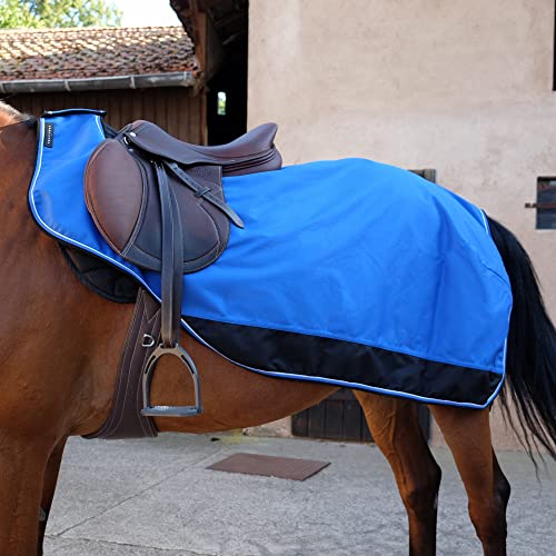 Equi-Theme EQUITHEME Tyrex, gefüttert, 1200D, schwarz/blau, Bleu/Noir-155 Equi-Theme EQUITHEME Tyrex, gefüttert, 1200D, schwarz/blau, Bleu/Noir-155 von Equitheme