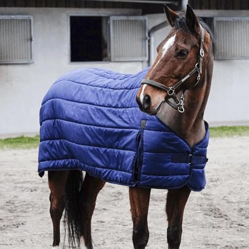 Equithème Classic 50g Unterdecke, Größe:155 cm / 6'9, Farbe:Marineblau Equithème Classic 50g Unterdecke, Größe:155 cm / 6'9, Farbe:Marineblau von Equithème