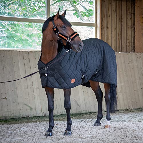 Equithème Paddock 200g, Größe:155 cm / 6'9, Farbe:schwarz von Equithème